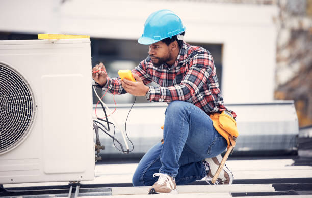 Best Electrician for Home Renovation  in New London, MN